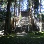 Japonia-2011